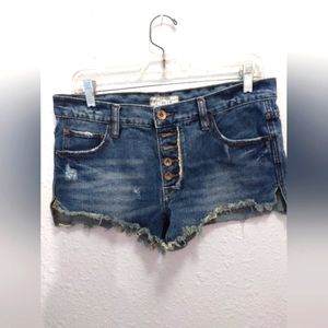 Free people denim shorts